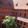 malbork 35